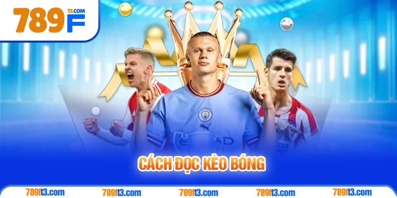 Cách Đọc Kèo Bóng - Nắm Vững Mọi Tỷ Lệ Cược