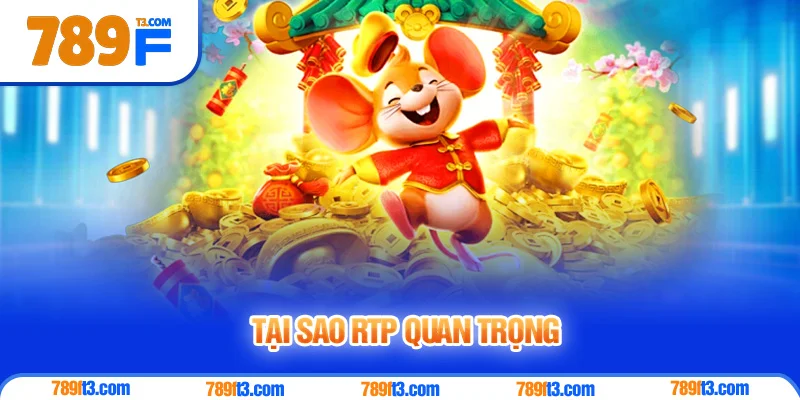 Tại Sao RTP Quan Trọng Với Người Chơi